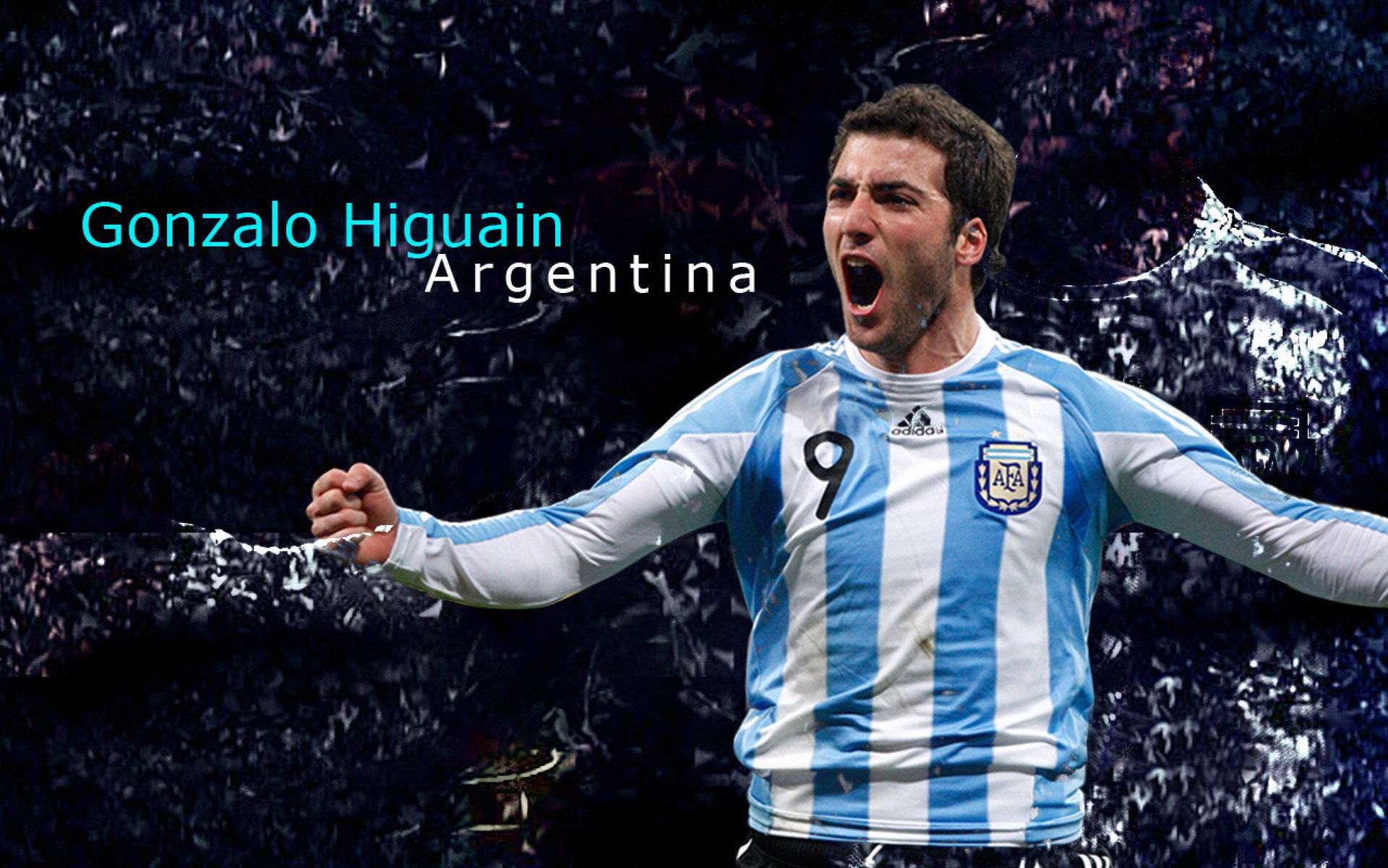 新赛季新气象：球队阵容变化揭秘，新赛季球员排名