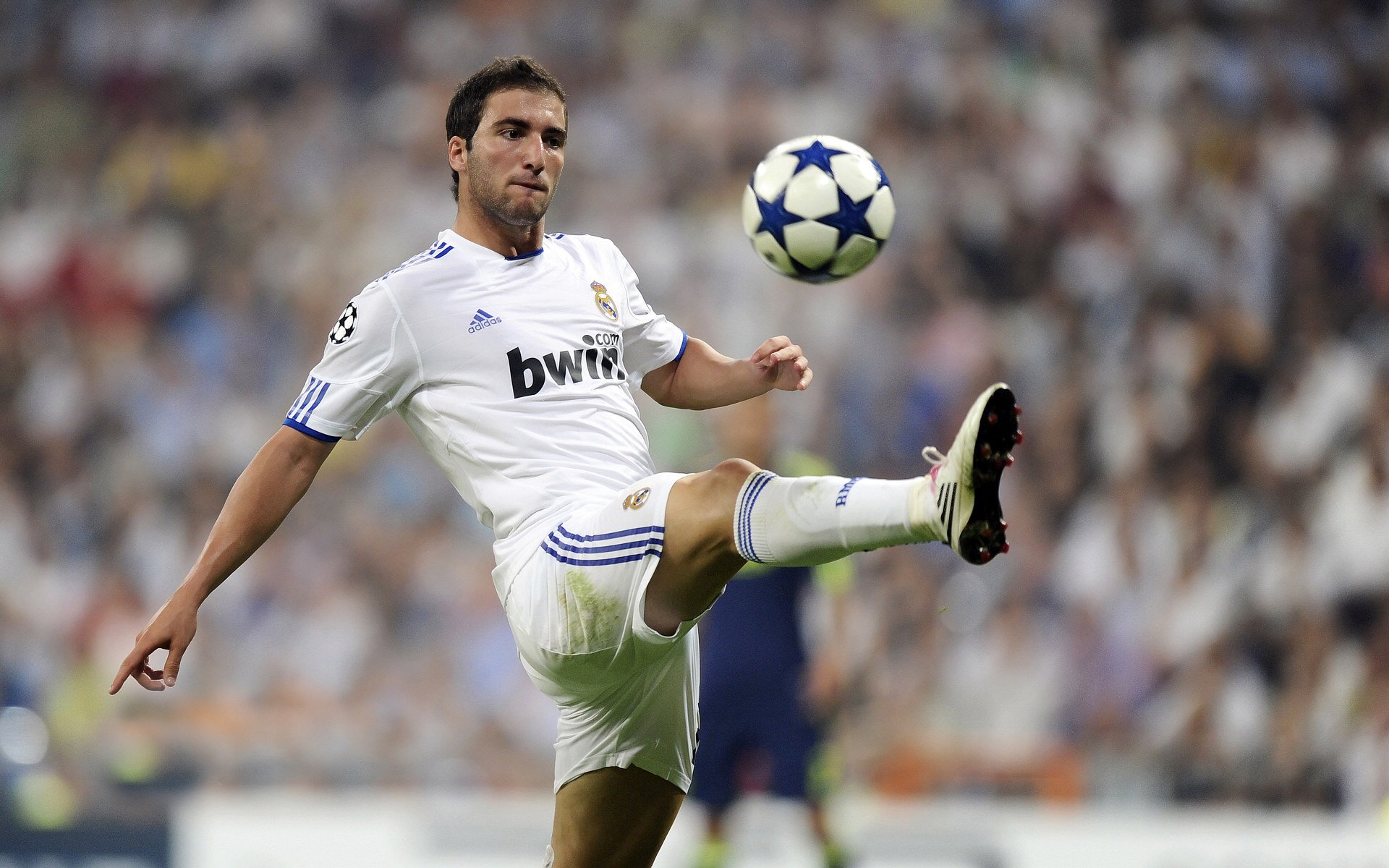 Jiuyou-葡萄牙弓箭手亮相2024年欧洲室内锦标赛，葡萄牙弩手