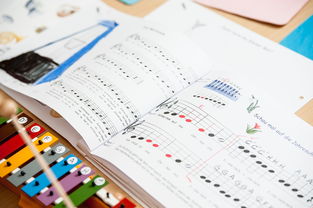 Jiuyou-中小学体育教师继续教育体系建设与实施研究，小学体育继续教育考试试题及答案